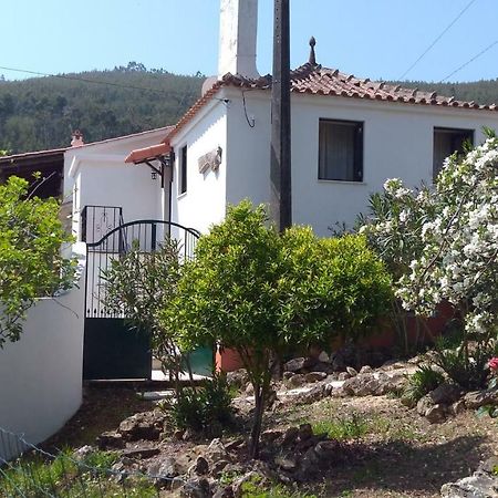 Casa Da Milharica Villa Figueiro Dos Vinhos Eksteriør bilde