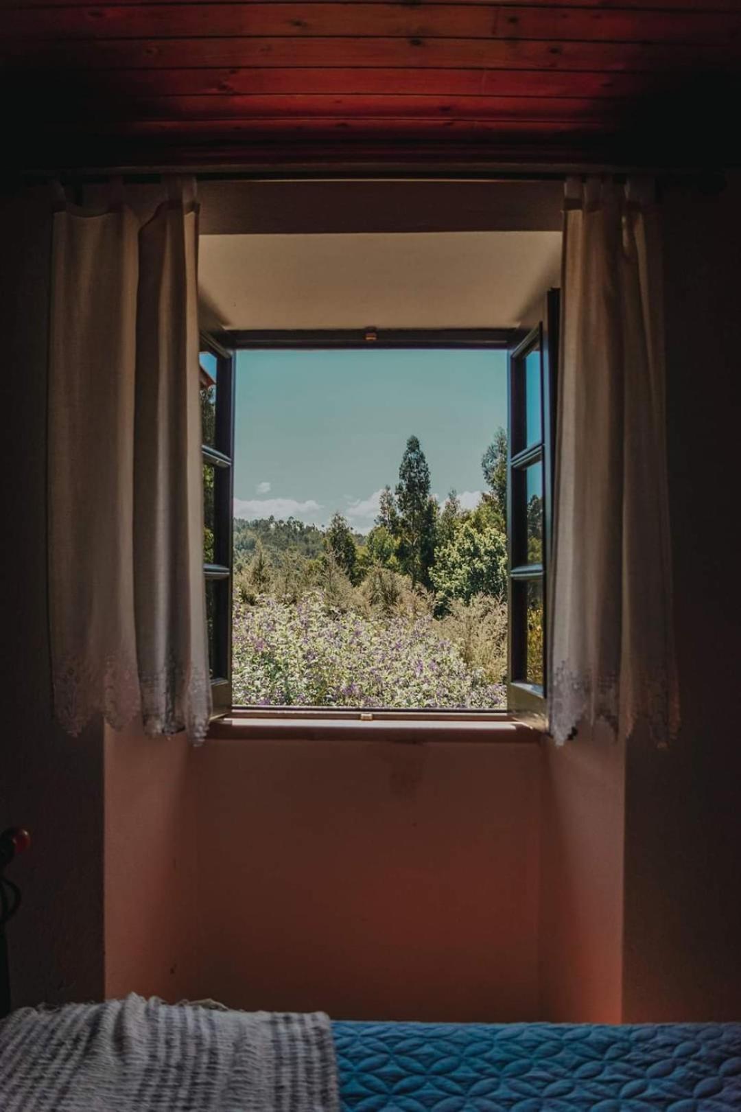 Casa Da Milharica Villa Figueiro Dos Vinhos Eksteriør bilde