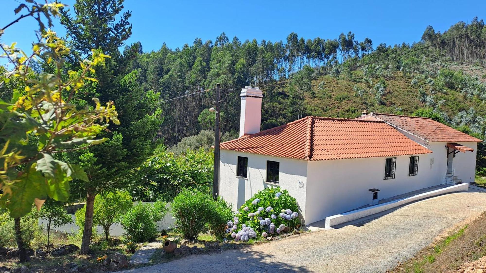 Casa Da Milharica Villa Figueiro Dos Vinhos Eksteriør bilde